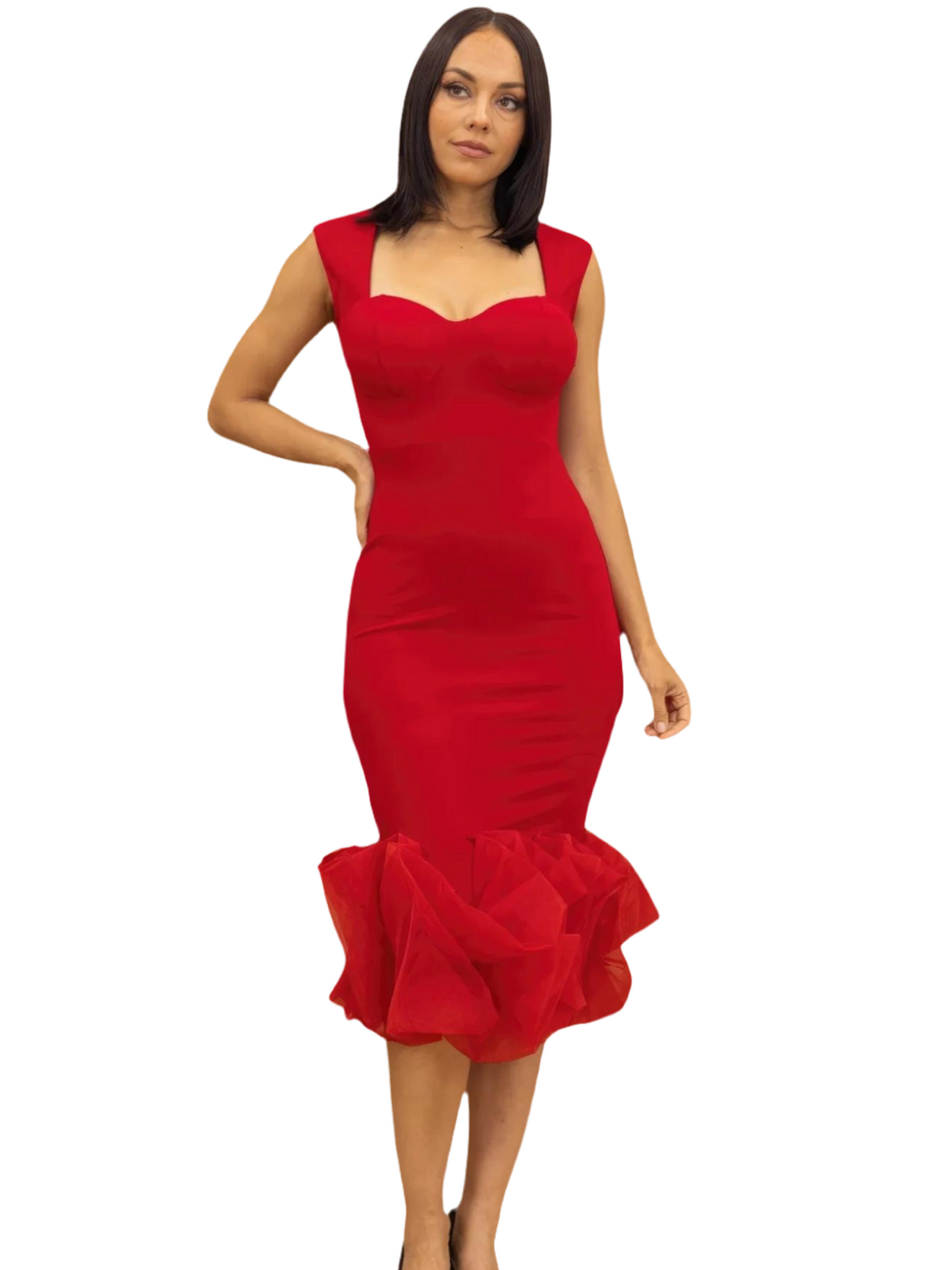 Organza Ruffle Detailed Fashion Dress ~ 4 Colors